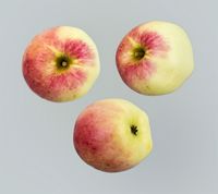 Grossherzog Friedrich von Baden, æble